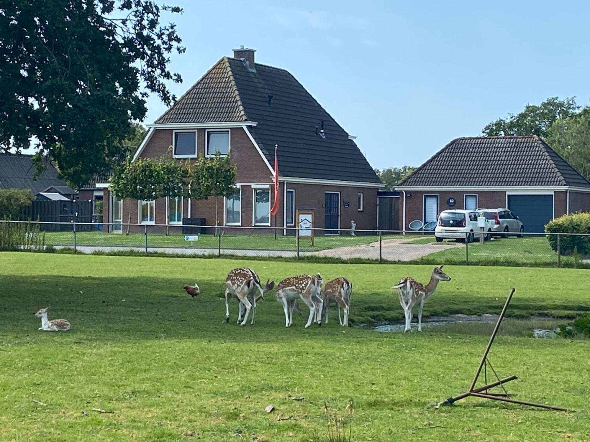 Bed and Breakfast Landelijk Hijken Esterno foto